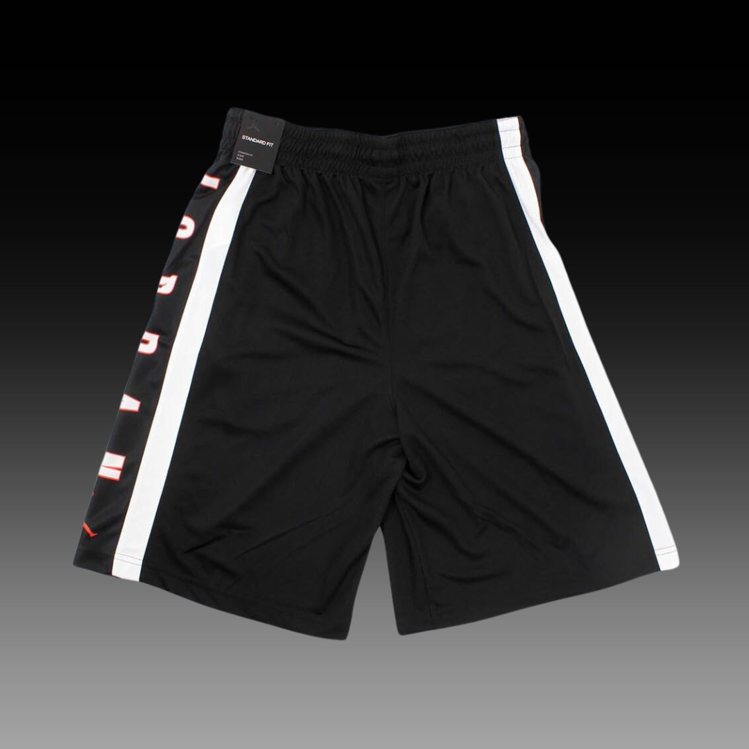 Air Jordan Rise 3 Shorts